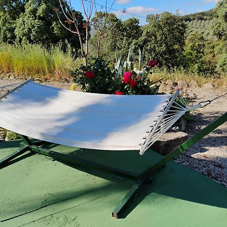 Villa La Casita De Campo La Carrera de la Viña Esterno foto