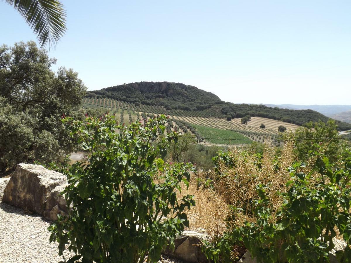 Villa La Casita De Campo La Carrera de la Viña Esterno foto