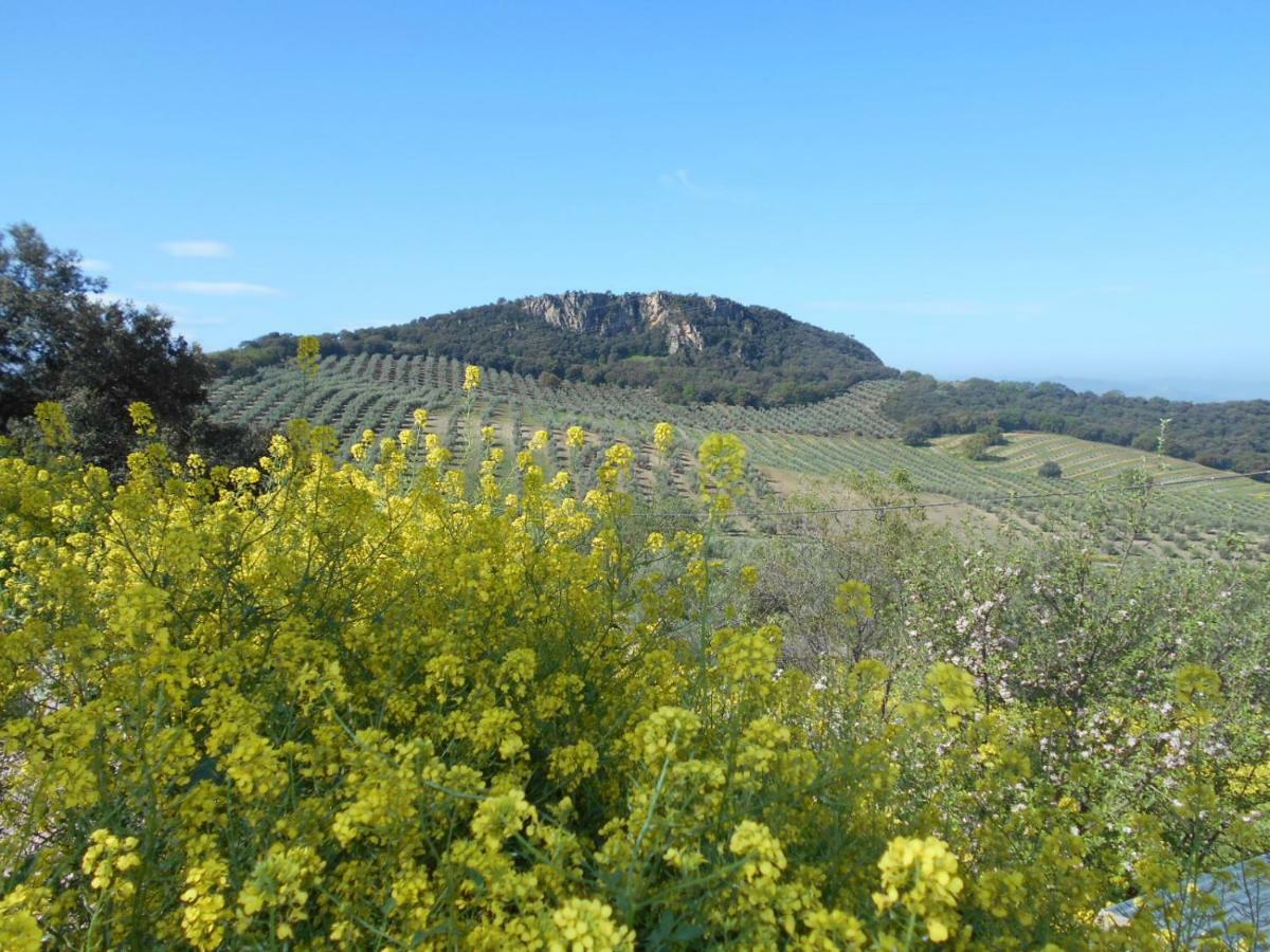 Villa La Casita De Campo La Carrera de la Viña Esterno foto